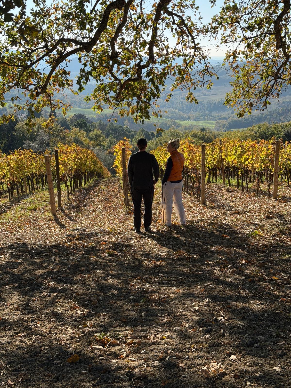 Walking the autumn vines at Tenuta Percorso